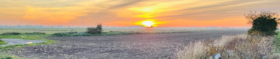 cropped-Solnedgang.jpg