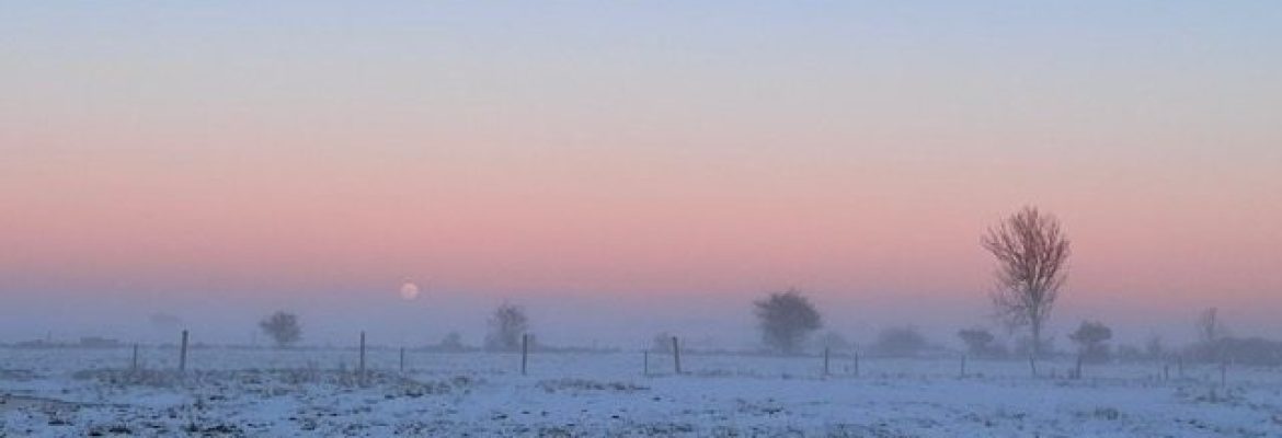 cropped-Header-vinter-6-rotated-1.jpg